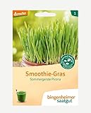 Bingenheimer Saatgut Bio Smoothie-Gras