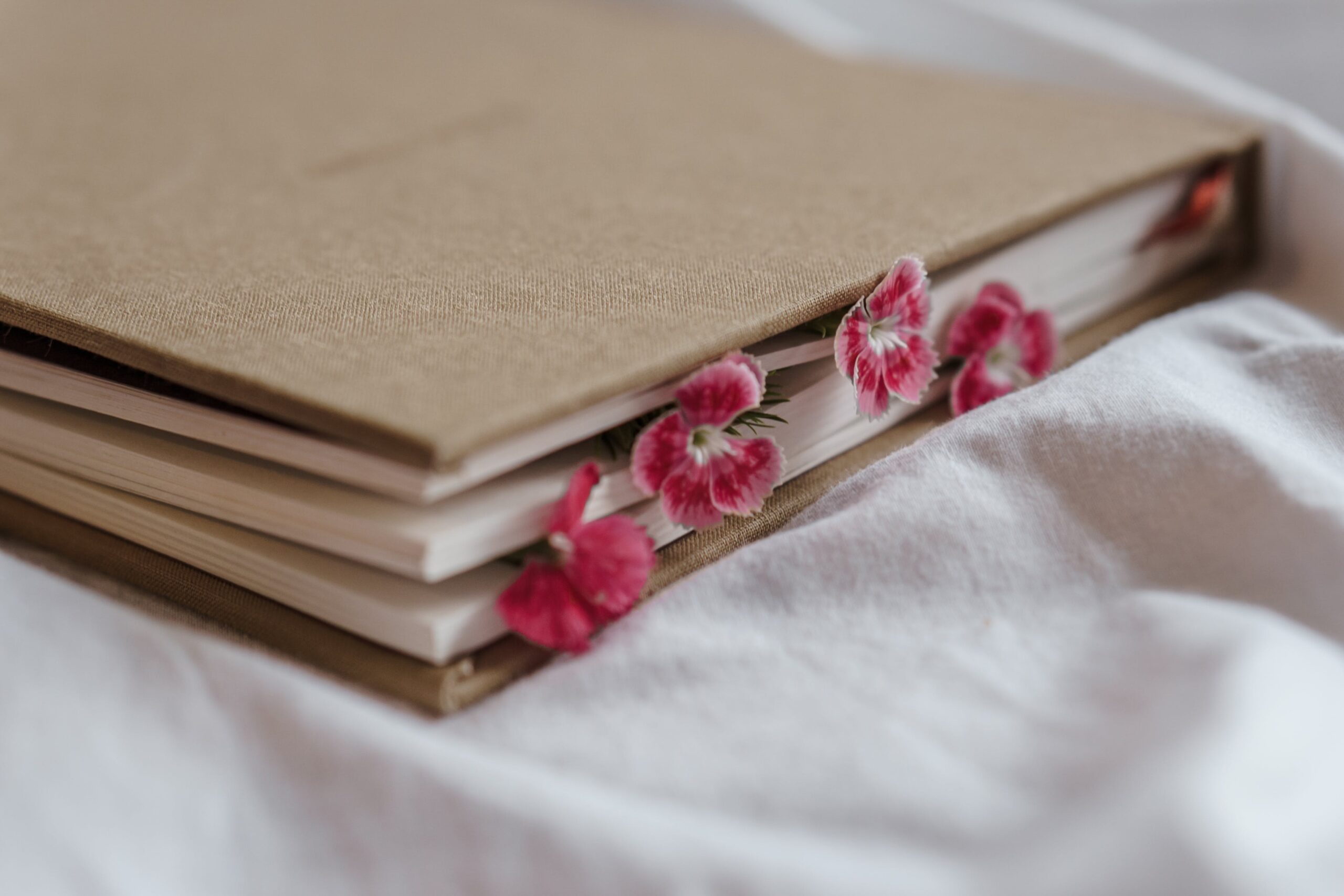 Ein sandfarbenes Journal liegt auf einem Bettlaken, zwischen die Seiten sind rote Blüten gesteckt.